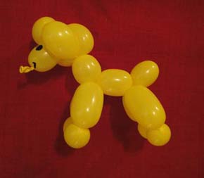 Chien fait par un sculpteur de ballon